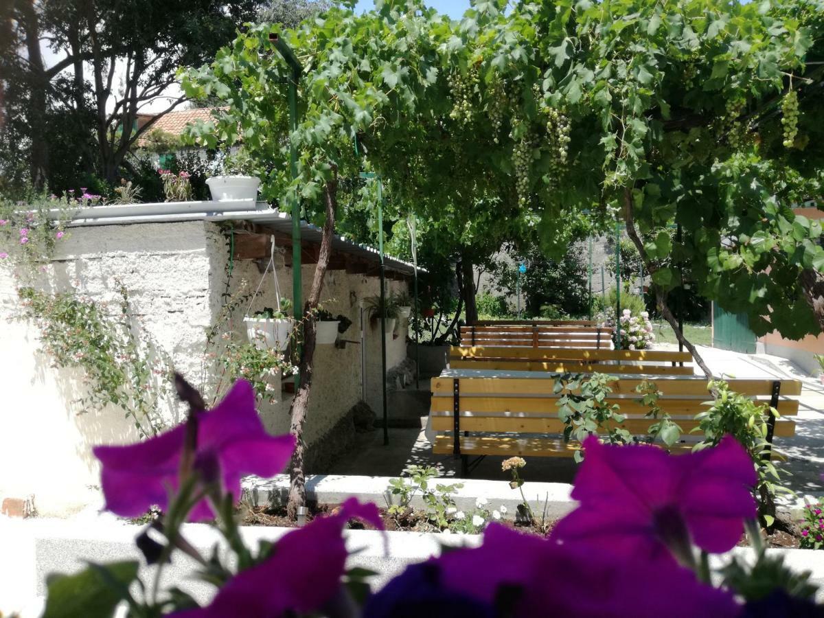 Apartman Odrina